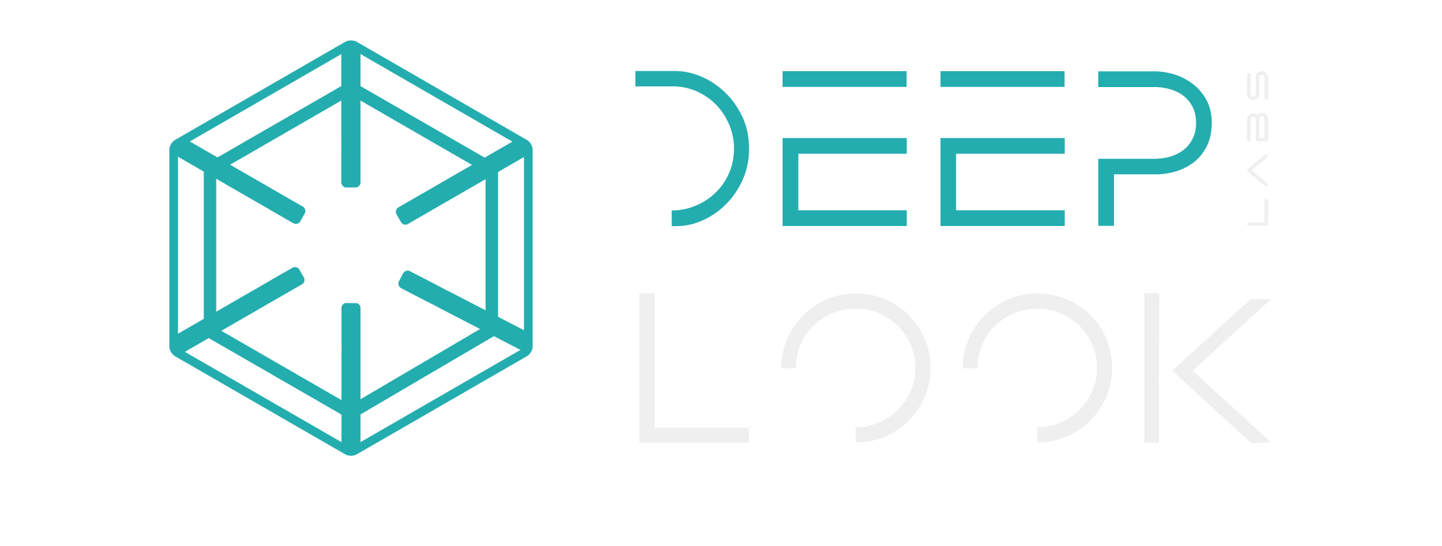 Deeplooklabs